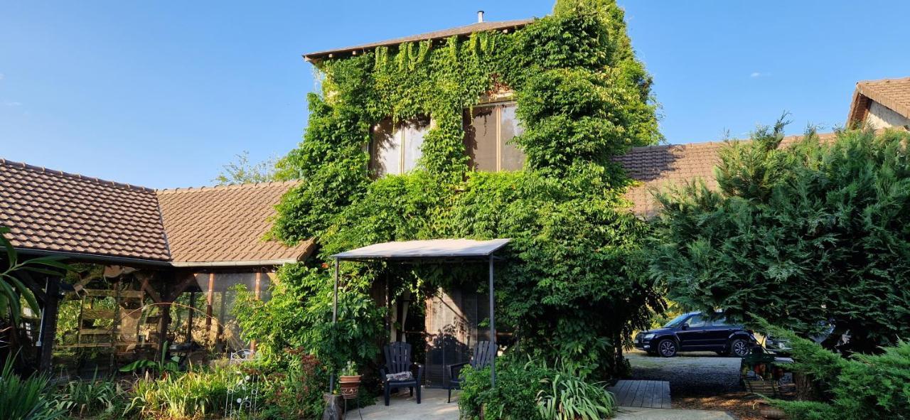 Les Grands Bois Villa Saint-Épain Dış mekan fotoğraf